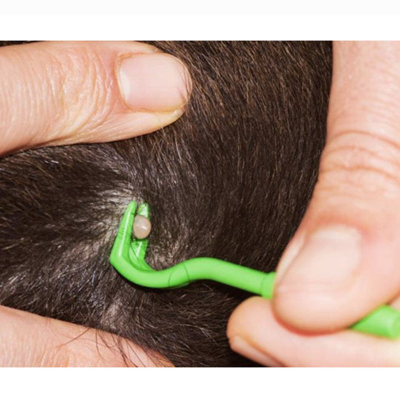 Close-up of a person using a green pet lice remover hook on a dog's fur, demonstrating flea and tick removal process